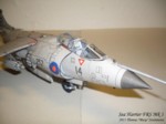 Sea Harrier Mk 1 (10).JPG

64,20 KB 
1024 x 768 
22.11.2011
